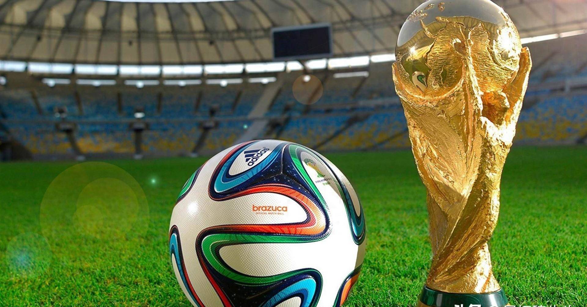 洲杯的一个 洲杯的一个