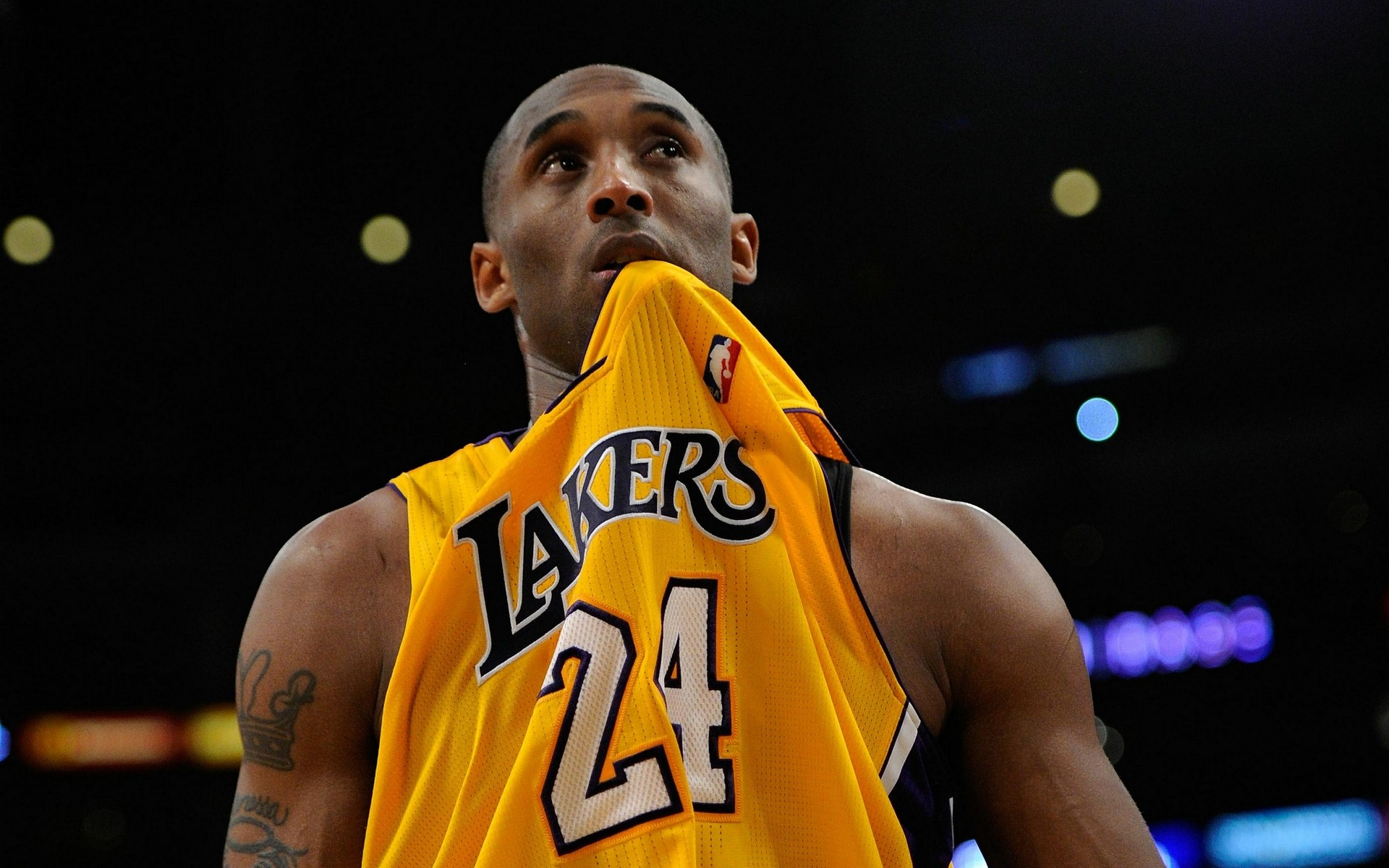 养和不懈努 养和不懈努