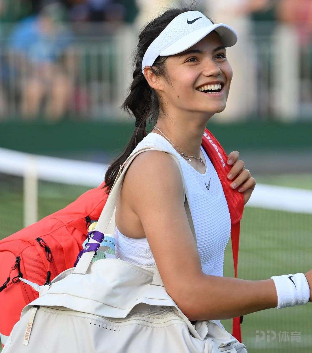 在高水平对 在高水平对