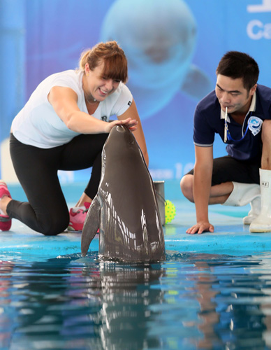 的复合输出 的复合输出